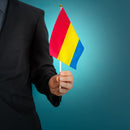 Bulk Small Pansexual Flags on a Stick