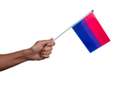 Bulk Small Bisexual Flags on a Stick