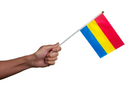 Bulk Small Pansexual Flags on a Stick