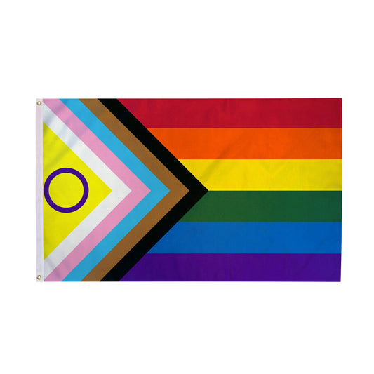 Daniel Quasar Intersex-Inclusive Gay Pride 3 Feet by 5 Feet Nylon Flag - We are Pride