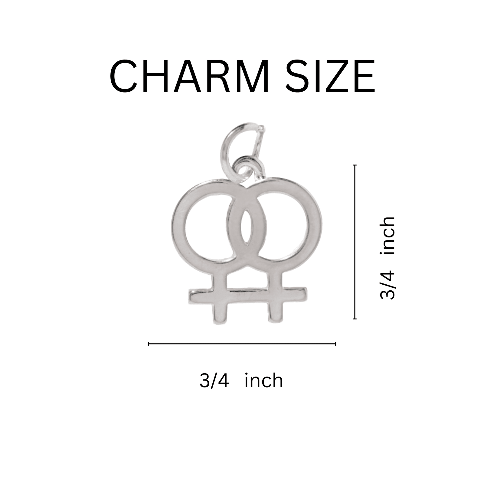 Lesbian Same Sex Female Symbol Charm Key Chain, LGBTQ Gay Pride Awarenesss, LGBTQ Gay Pride Awareness