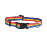 Large Rainbow Flag Striped Dog Collars We are Pride