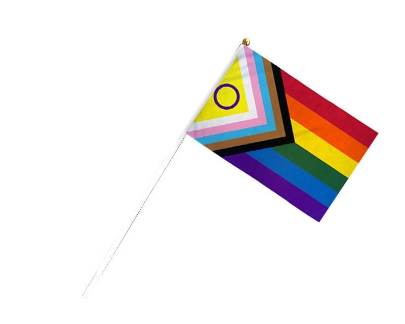 Daniel Quasar Inclusive Progress Pride Flags on a Stick, Gay Pride Parade Flags